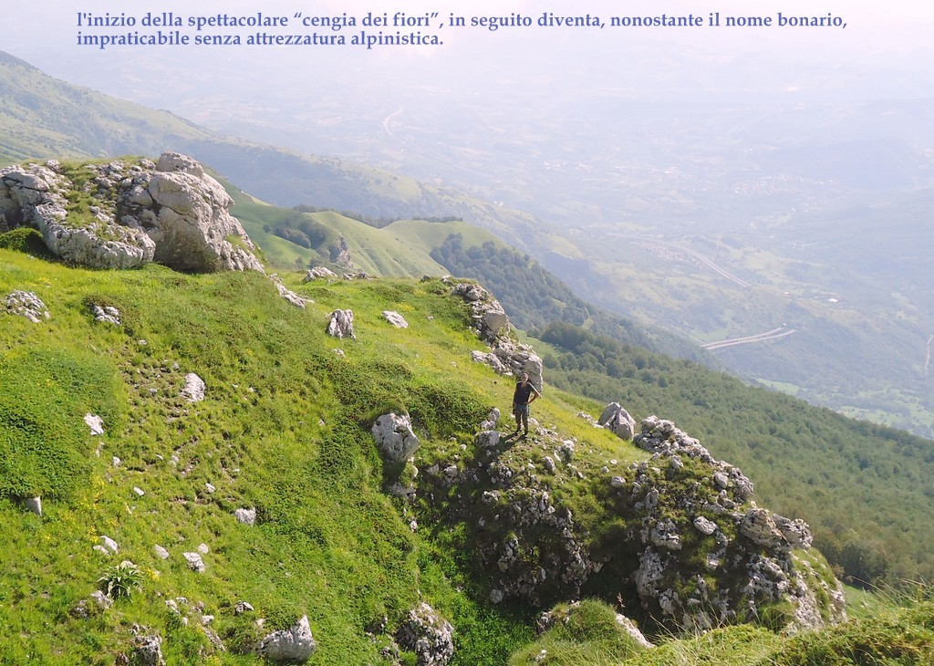 Il Gran Sasso e le orchidee - il mio omaggio al Gigante dellAppennino.